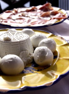 mozzarella di bufala